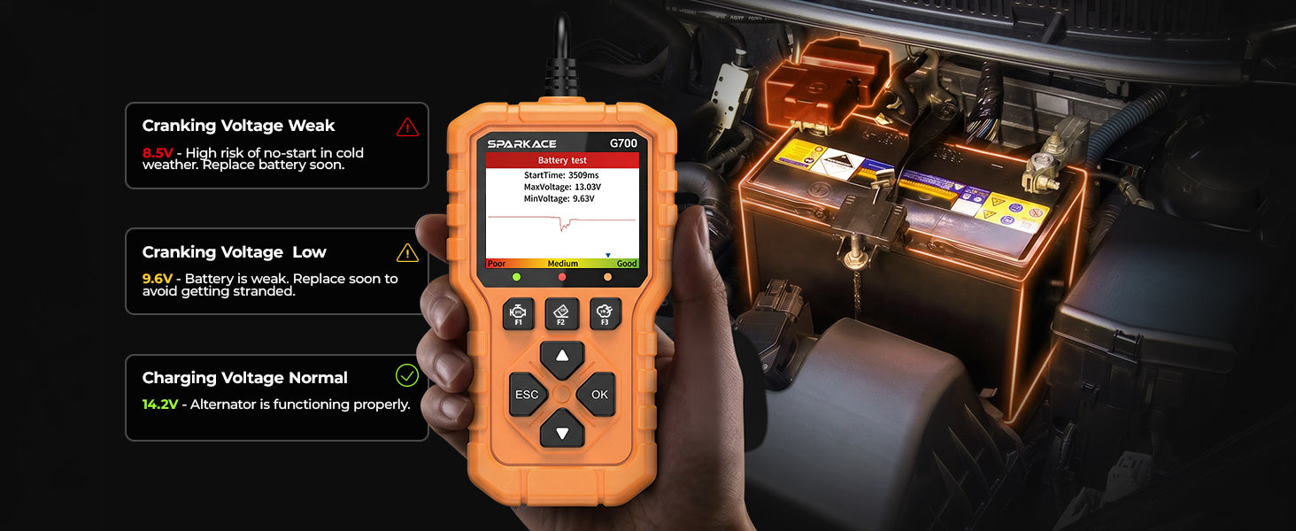 Oxygen Sensor Test
